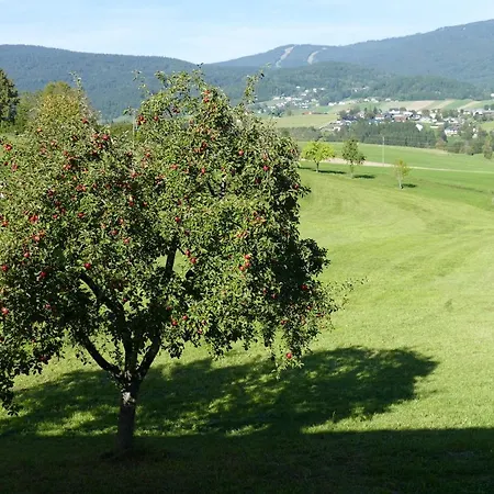 Hochfichtblick *