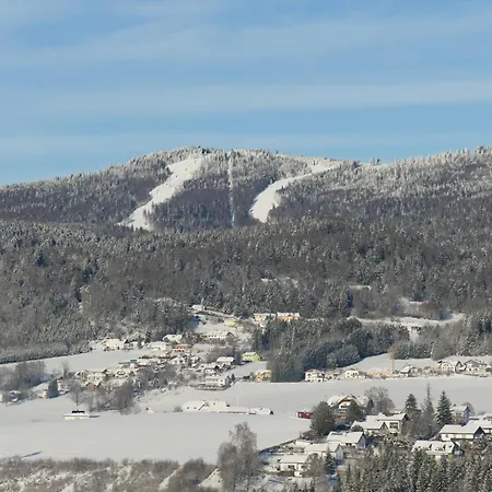 شقة Hochfichtblick أليتشيسبيرغ
