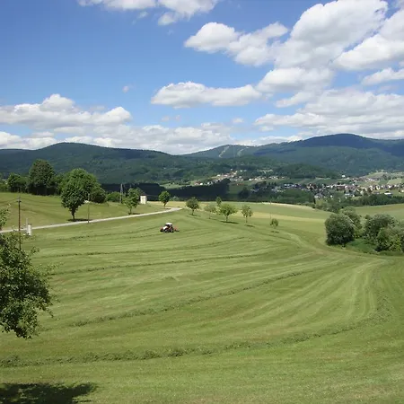 Hochfichtblick Ulrichsberg