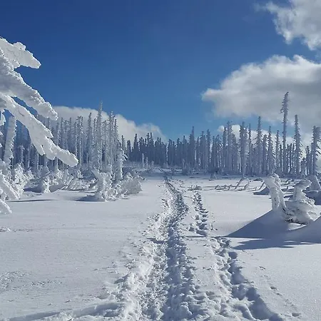 Hochfichtblick * Ульрихсберг