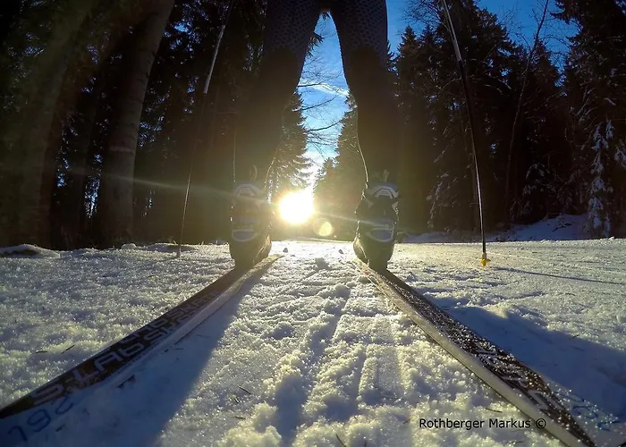 Hochfichtblick شقة أليتشيسبيرغ