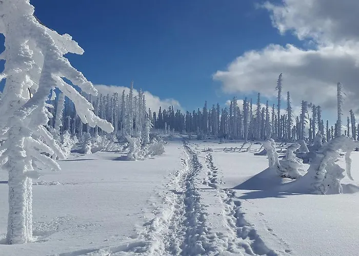 Hochfichtblick * أليتشيسبيرغ