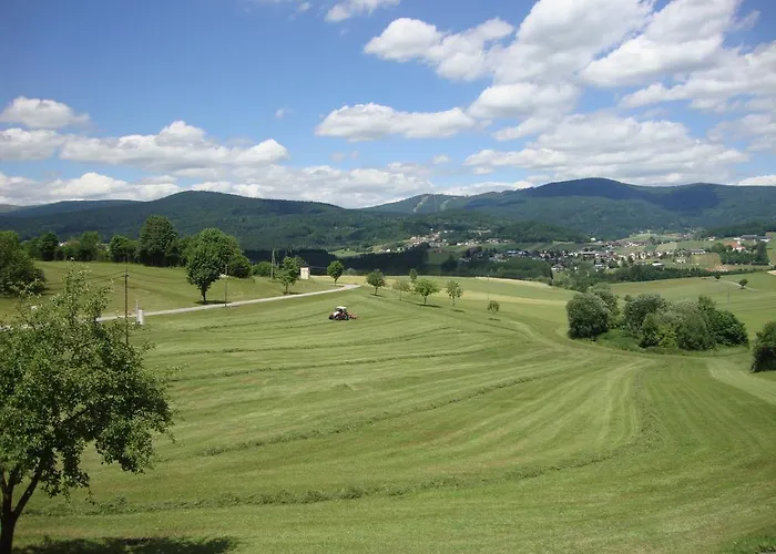 Hochfichtblick أليتشيسبيرغ